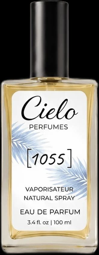 1055 - Meteore - GqhSwg