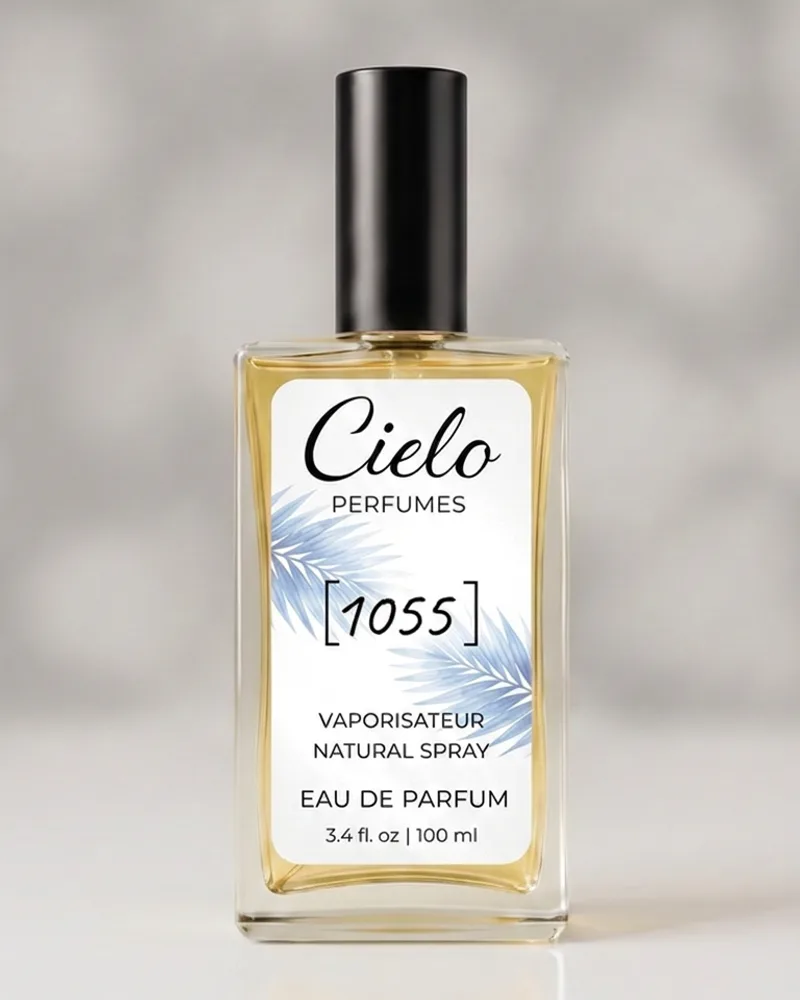 Cielo 1055 Meteore
